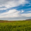 A Cloudy Blue Sky In Spring