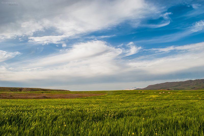 A Cloudy Blue Sky In Spring