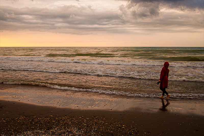 Along The Beach