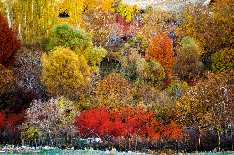 Autumnal Frame