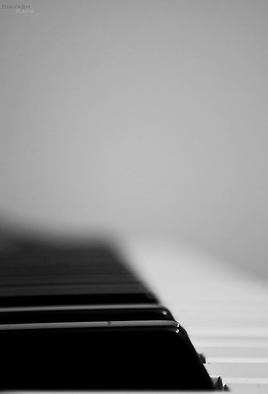 Dream Of Piano