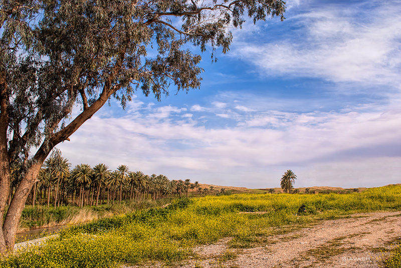 Near The Grandpa's House