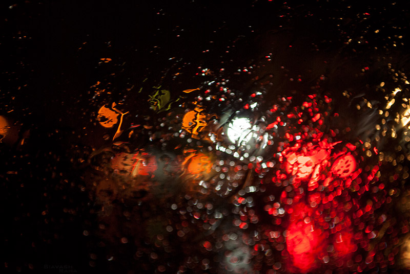 Rainy Lights