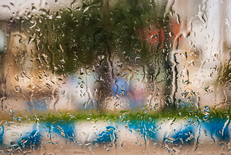 Rainy Window