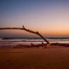 Sunset Lying On The Beach