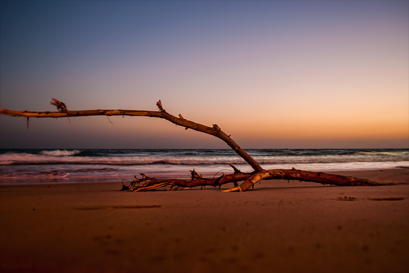 Sunset Lying On The Beach